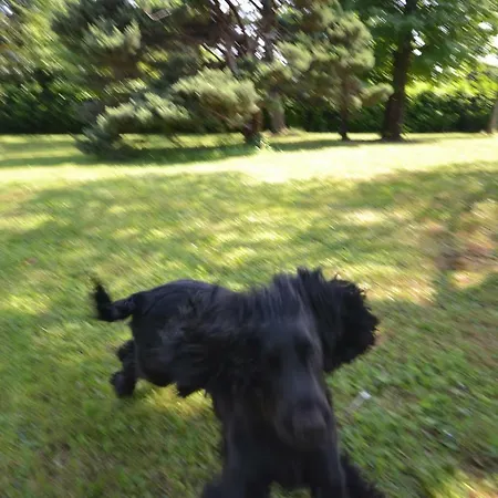 Ottoquadri Quattordio